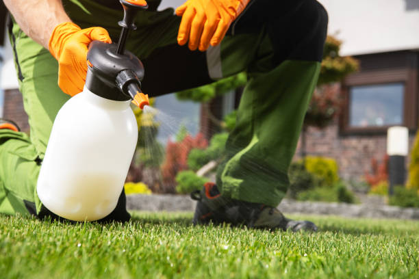 Professional Pest Control in Euclid, OH